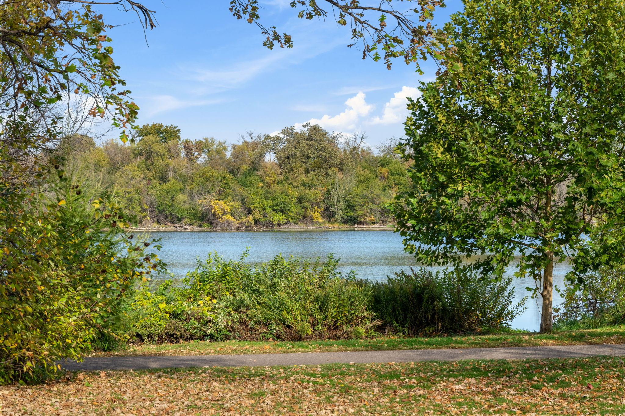 Lake of the Isles from the walking path